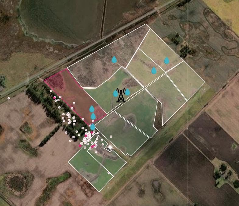 Mapa satelital mostrando la ubicación de los animales monitoreados por Nandi