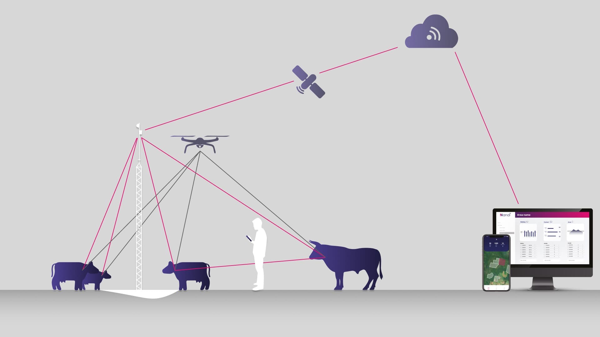 Sistema Nandi: sensores en animales, antena, drone, nube, app y dashboard